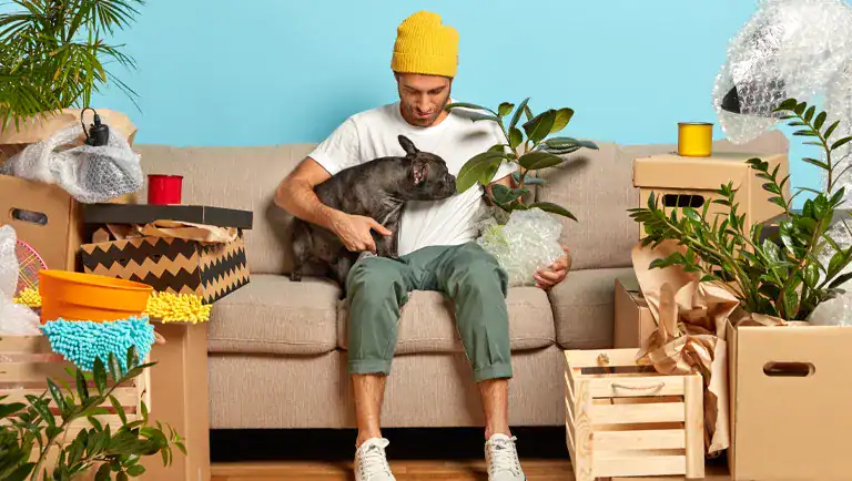 a featured image of How to Move With Pets