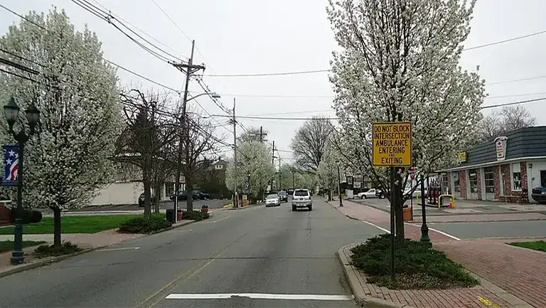 a featured image of Things to Do in Edison, NJ